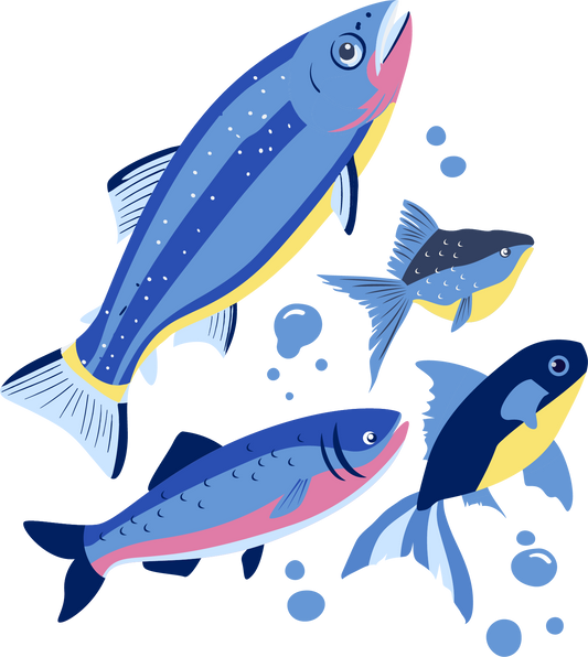 PRE-ORDER - Sun + Moon Calendar Aotearoa New Zealand 2026