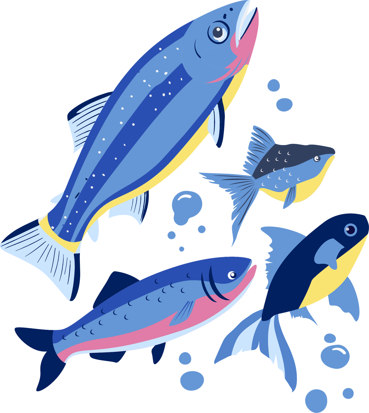 DIGITAL VERSION - Sun + Moon Calendar Aotearoa New Zealand 2026